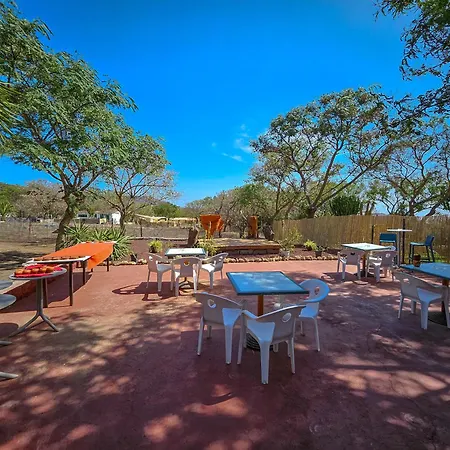 Finca Avestruz * San Isidro (Tenerife)