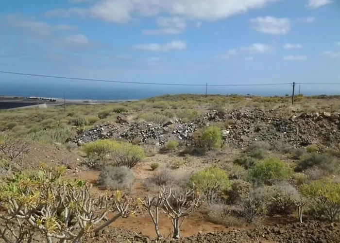 Avestruz * San Isidro (Tenerife)