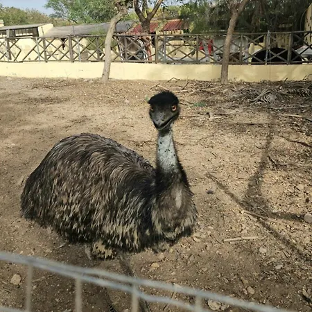 Finca Avestruz Agroturismo *