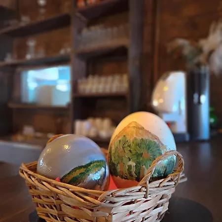 Finca Avestruz Agroturismo San Isidro (Tenerife)