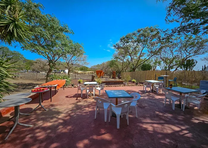 Avestruz * サン・イシドロ