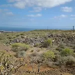 Avestruz * San Isidro (Tenerife)
